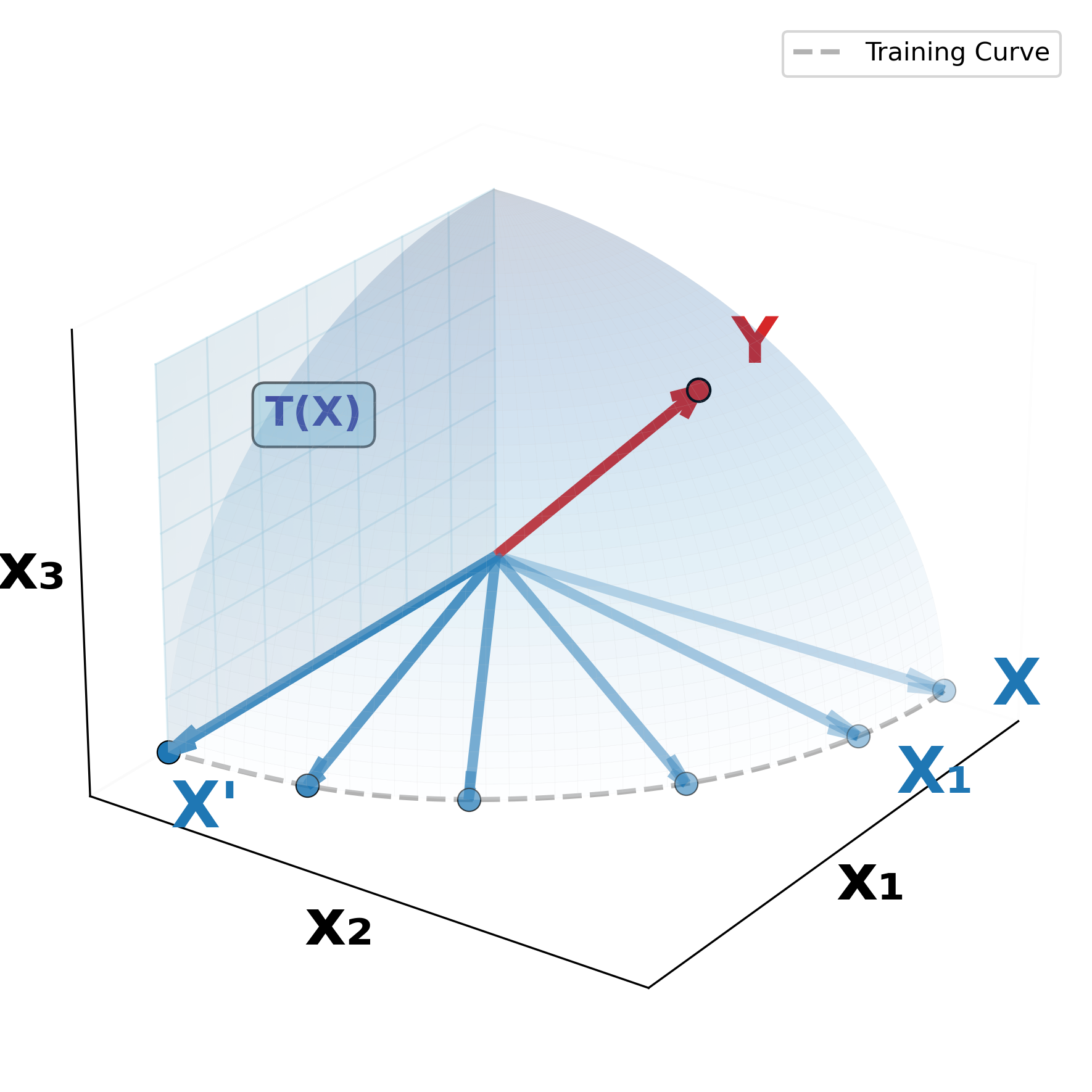 Right view of vector alignment